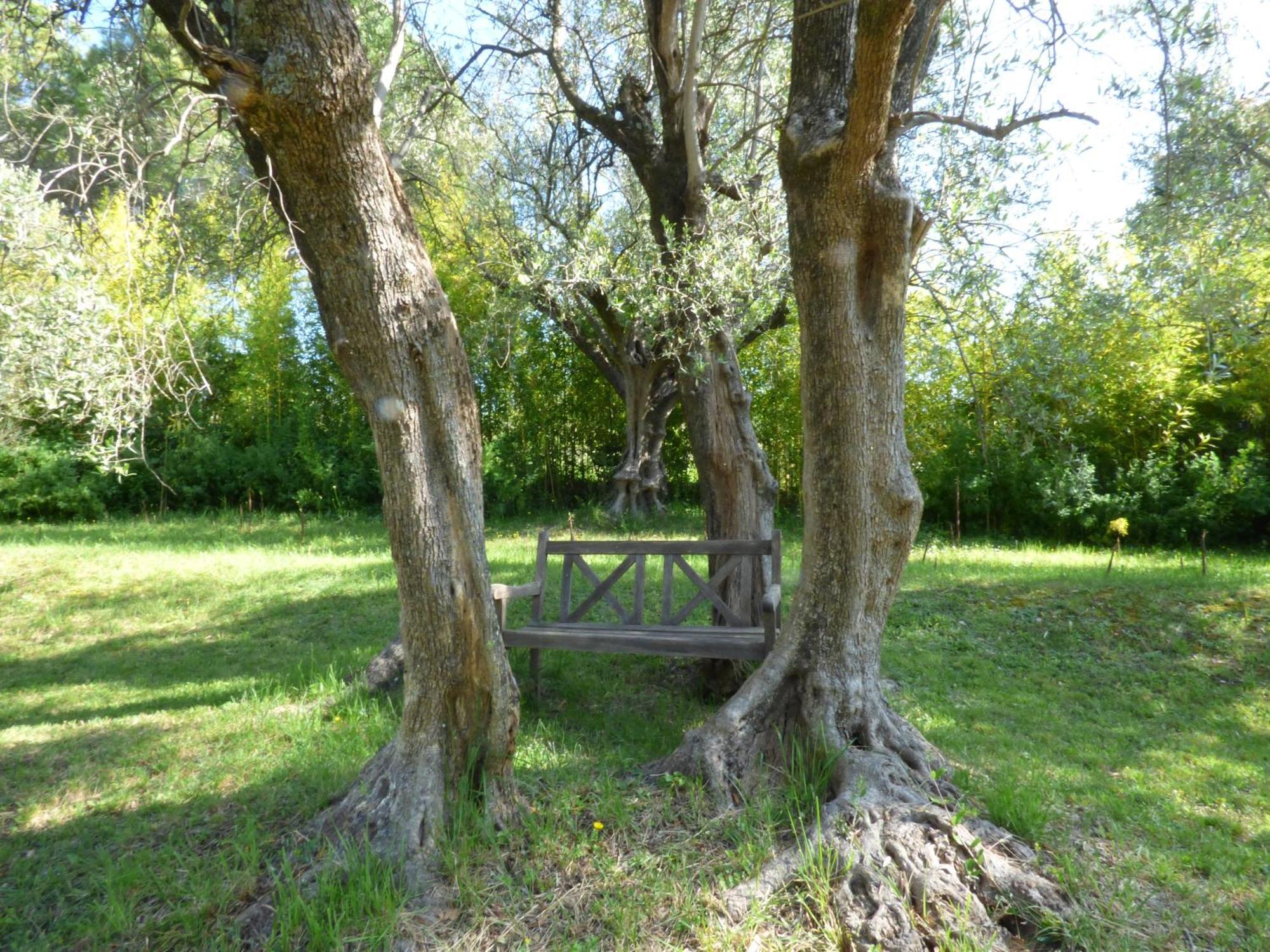 Apartment Cezanne With Heated Pool And Private Garden Chateauneuf-Grasse Exterior foto