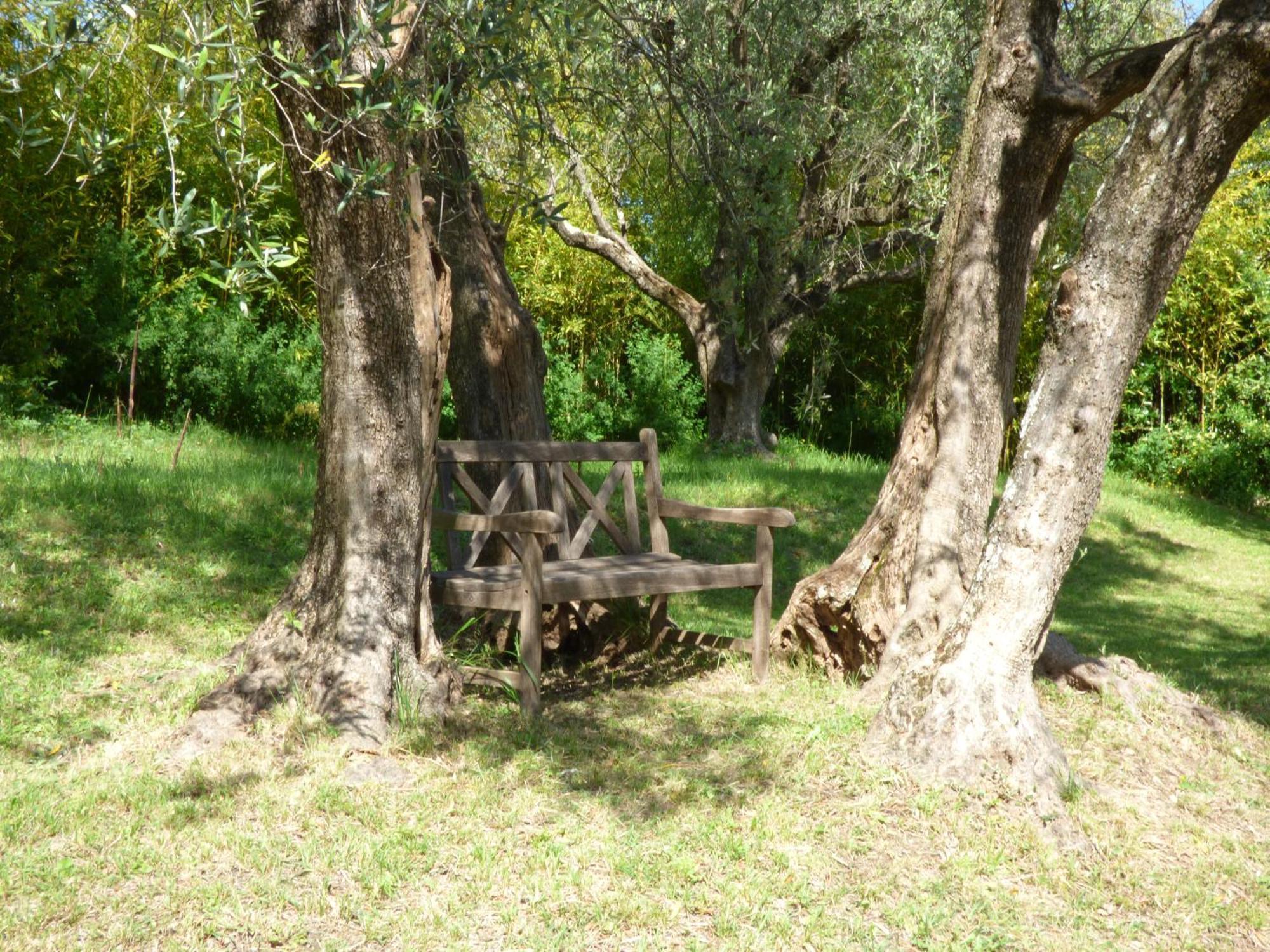 Apartment Cezanne With Heated Pool And Private Garden Chateauneuf-Grasse Exterior foto