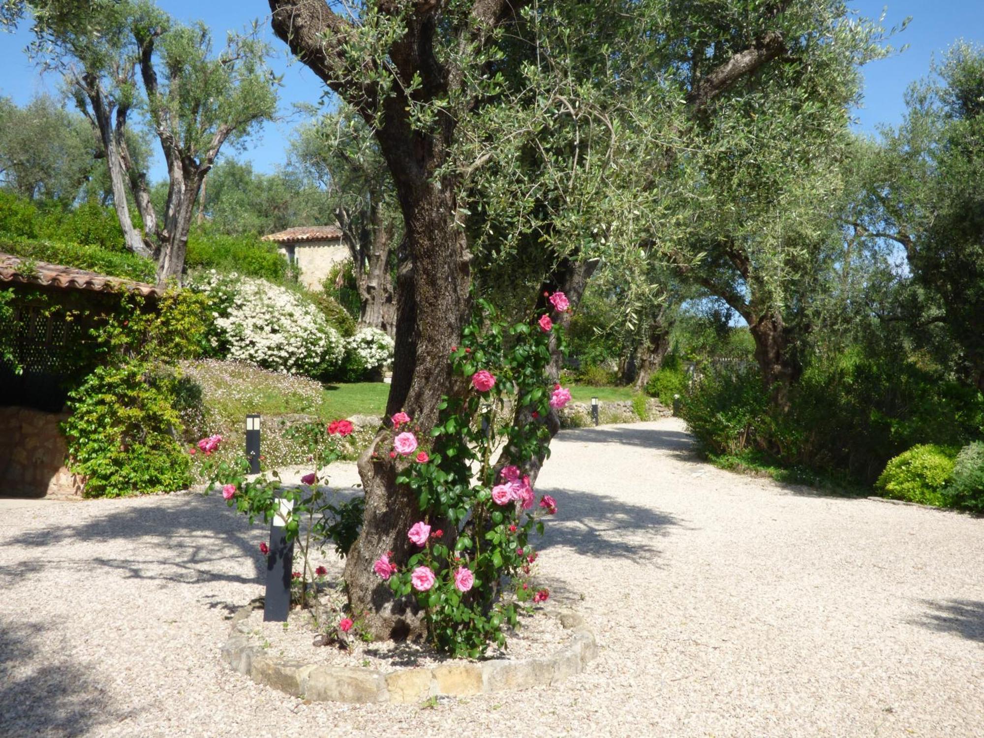 Apartment Cezanne With Heated Pool And Private Garden Chateauneuf-Grasse Exterior foto